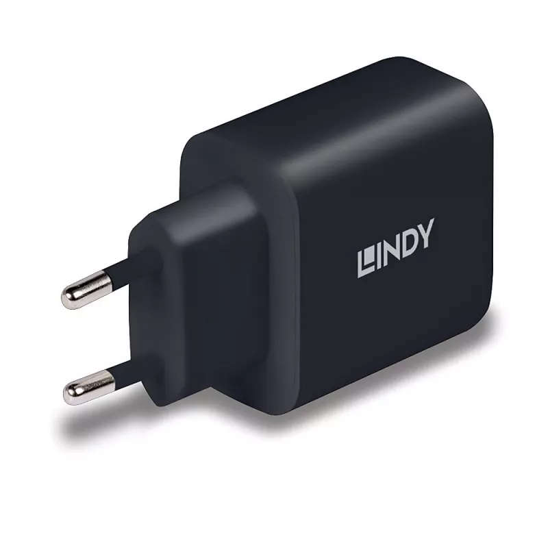Lindy 73426 carregador móvel universal preto AC carregamento rápido interior
