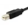 Equip Cabo USB 2.0 Type-C para Type-B, 1 m, USB B, USB C, USB 2.0, Macho/Macho, Preto