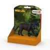 schleich WILD LIFE Pantera Negra, 3 ano(s), Selva, Animais Selvagens / Brinquedo de Aventura, Multicolor, Plástico