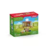 schleich FARM WORLD Coelheira, Quinta, Animais da Quinta / Brinquedo de Quinta, 3 ano(s), Multicolor, Plástico