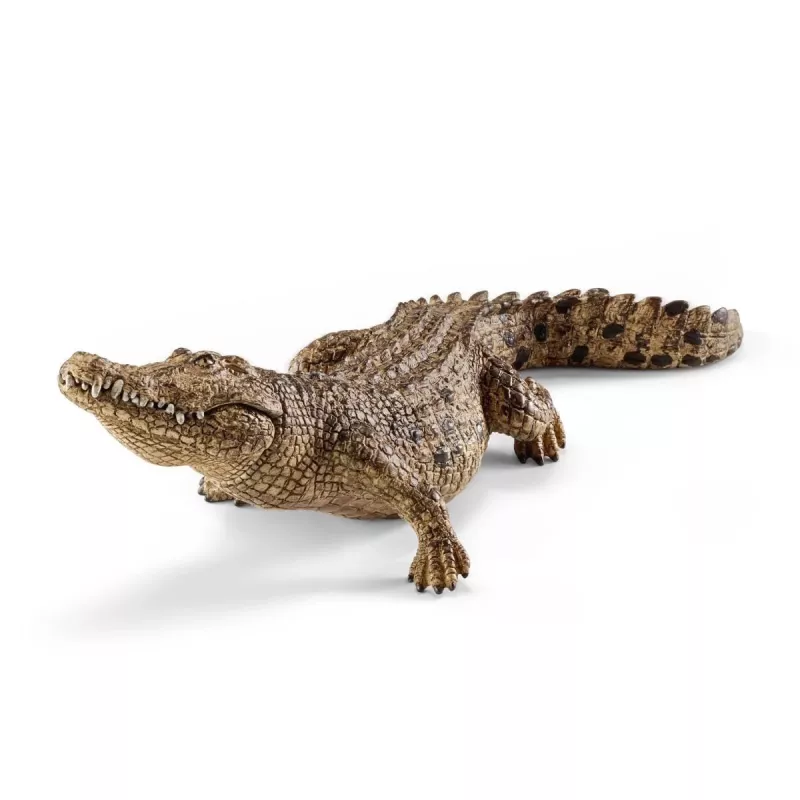 schleich WILD LIFE crocodilo, 3 ano(s), safari, animais selvagens / brinquedo de aventura, multicolor, plástico, 1 unid.