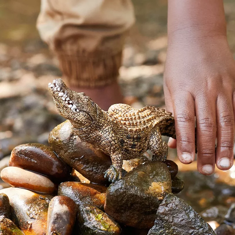 schleich WILD LIFE crocodilo, 3 ano(s), safari, animais selvagens / brinquedo de aventura, multicolor, plástico, 1 unid.