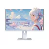 Monitor de computador JAPANNEXT JN-I238FHD120F-HSP-W 60,5 cm (23,8 polegadas) 1920 x 1080 píxeis Full HD LCD branco