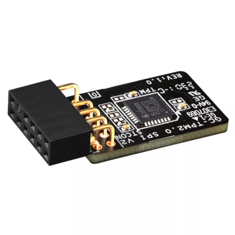 GIGABYTE GC-TPM 2.0 SPI V2 interface de host SPI Windows 10 11 7 8.1