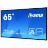 Ecrã de sinalização digital IIYAMA LH6552UHS-B1 64,5 polegadas IPS 4K 3840x2160 500 cd/m² Android 8.0 24/7 preto