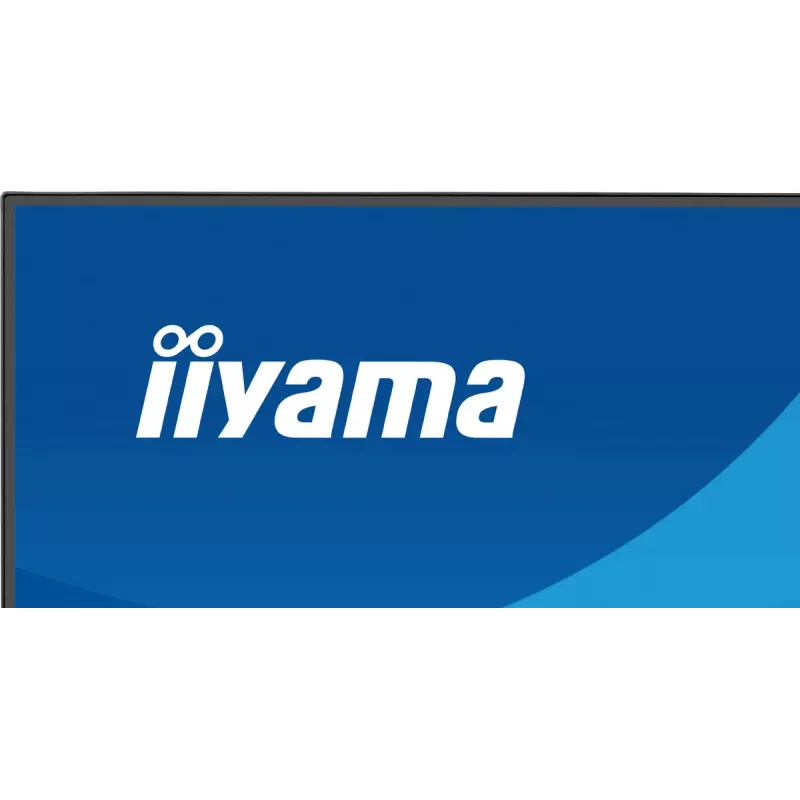 Monitor IIYAMA ProLite X2491HS-B1 60,5 cm (23,8