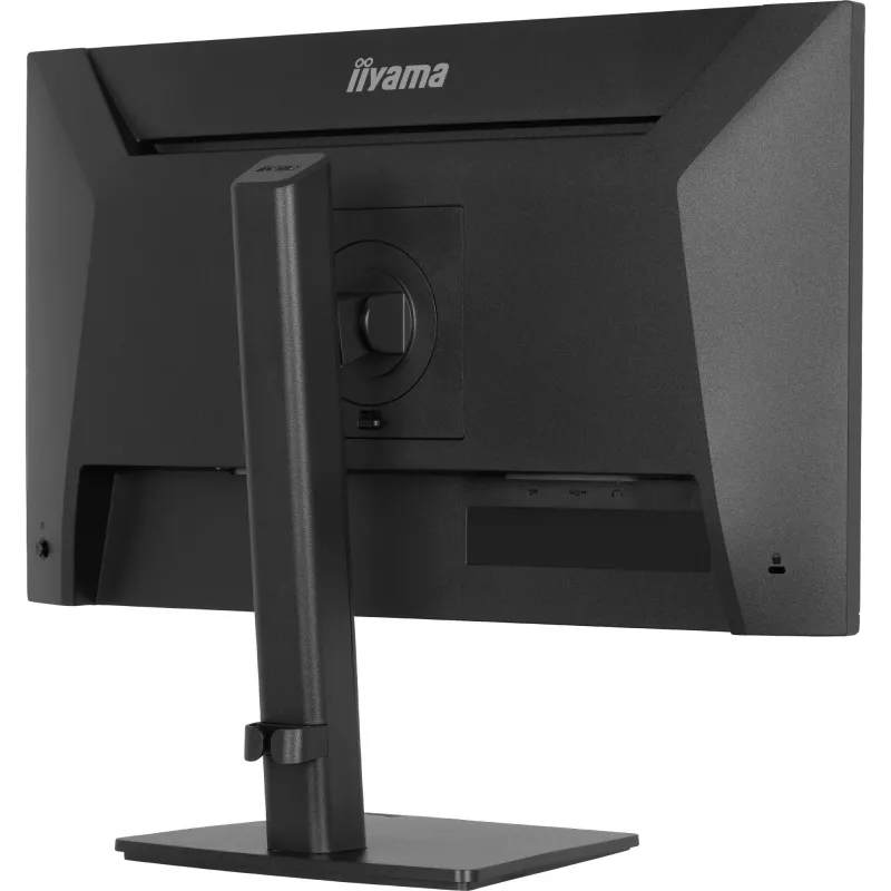 Monitor de computador IIYAMA ProLite XB2491H-B1 23,8
