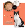 Comida húmida para gatos 3coty peru com pato 80 g saco — comida húmida completa sem cereais para gatos adultos