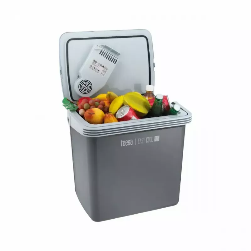 Arca frigorífica portátil TEESA TSA5001.1 25L – arca isotérmica de transporte leve