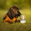 VETEXPERT RAW PALEO Puppy Monoproteico bacalhau 400 g, sem cereais, para cachorros, lata