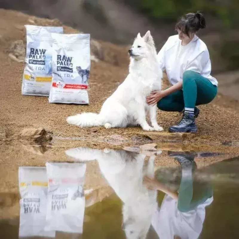 VetExpert Raw Paleo Ultra Medium & Large Adult ração seca de peru para cães 2 kg
