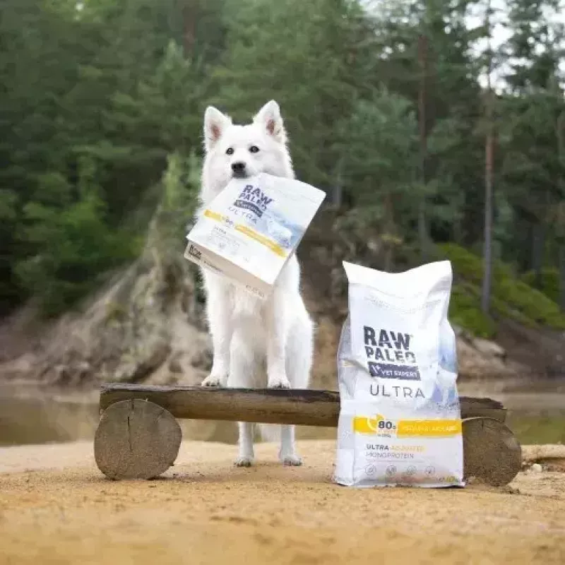 VetExpert Raw Paleo Ultra Medium & Large Adult ração seca de peru para cães 2 kg