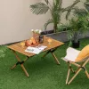Mesa dobrável PROMIS ST90 mesa turística com rodas, portátil, embalagem única