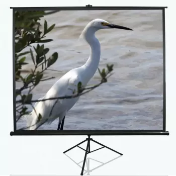 Ecrã de projeção com tripé Elite Screens T100UWV1 2,54 m (100 polegadas) 4:3