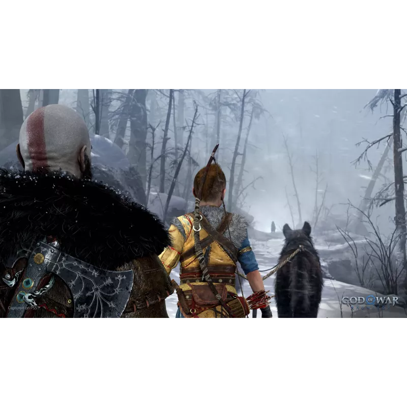 Sony God of War Ragnarök, PlayStation 5, M (Mature), suporte físico