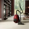 Electrolux PD82-ANIMA aspirador cilíndrico 3,5 L a seco 600 W com saco