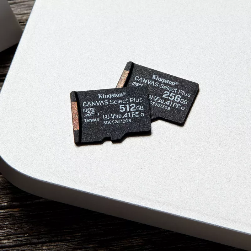 Kingston Technology Canvas Select 256GB microSDXC Plus 100R A1 C10 cartão + adaptador