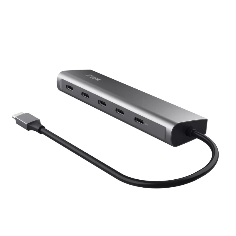 Trust Halyx USB 3.2 Gen 1 (3.1 Gen 1) Type-C prateado