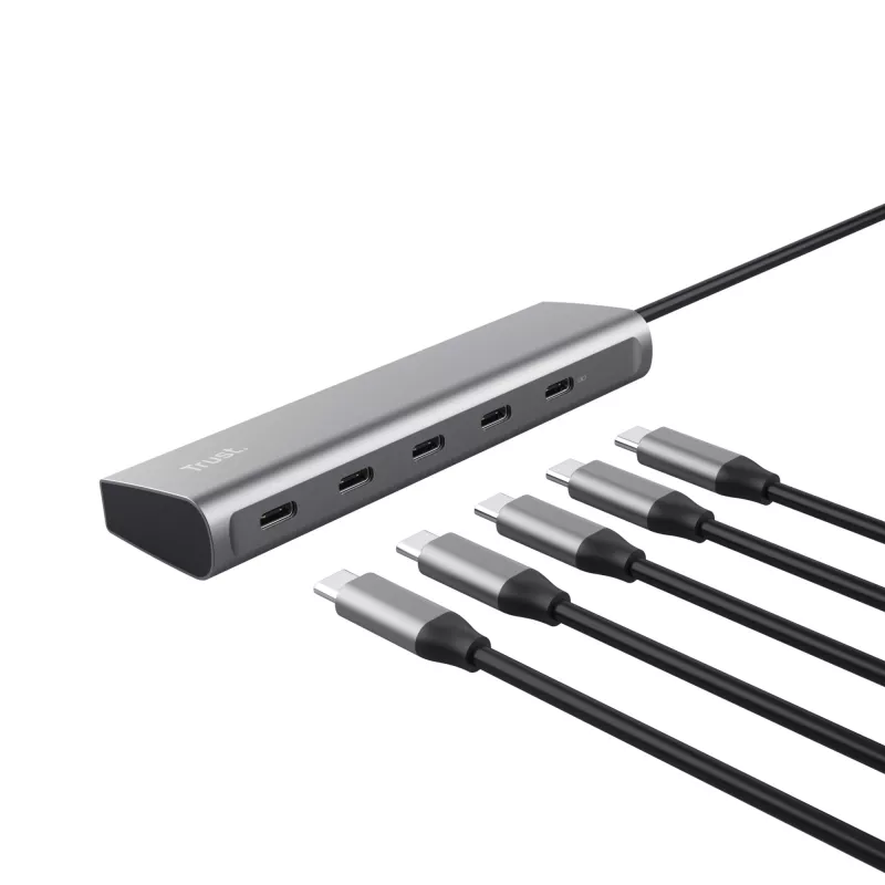 Trust Halyx USB 3.2 Gen 1 (3.1 Gen 1) Type-C prateado