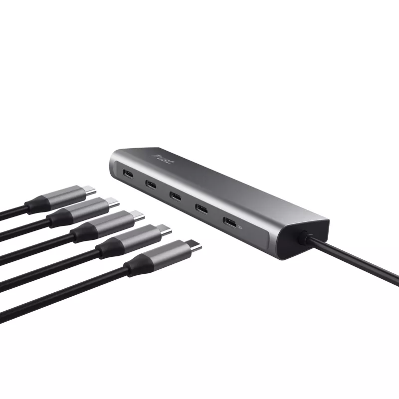 Trust Halyx USB 3.2 Gen 1 (3.1 Gen 1) Type-C prateado