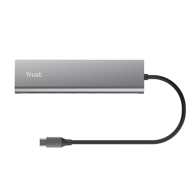 Trust Halyx USB 3.2 Gen 1 (3.1 Gen 1) Type-C prateado