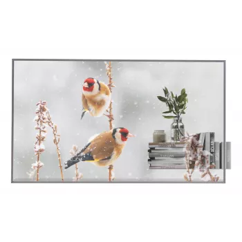 LG 55EW5P-M ecrã de sinalização digital 139,7 cm (55 polegadas) OLED 600 cd/m² Full HD prateado ecrã tátil 18/7