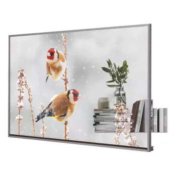 LG 55EW5P-M ecrã de sinalização digital 139,7 cm (55 polegadas) OLED 600 cd/m² Full HD prateado ecrã tátil 18/7