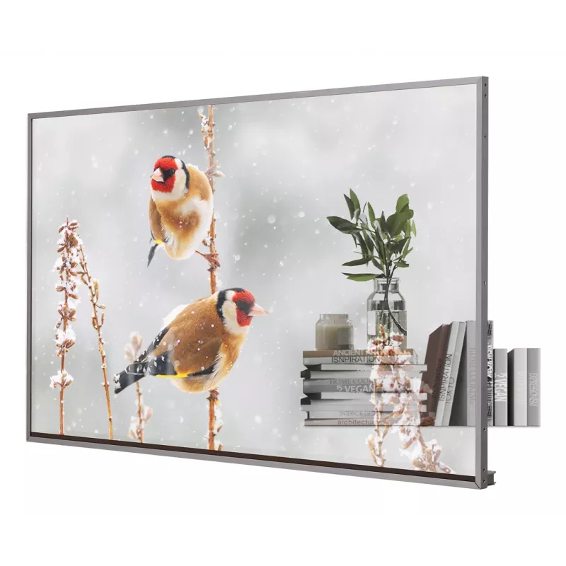 LG 55EW5P-M ecrã de sinalização digital 139,7 cm (55 polegadas) OLED 600 cd/m² Full HD prateado ecrã tátil 18/7