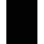 GBC PolyOpaque capas de encadernação A4, 300 mícrons, preto, 100 pcs.