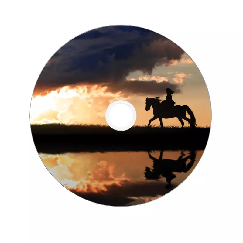 Verbatim 43667 DVD virgem 8,5 GB DVD+R DL 25 unid.