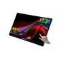 Monitor de computador Verbatim 49593 43,9 cm (17,3