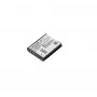 Ricoh DB-110 Iões de lítio (Li-Ion)