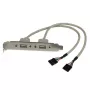StarTech.com adaptador de placa de slot USB A fêmea de 2 portas, 2 x IDC, 2 x USB A, 0,286 m, prateado