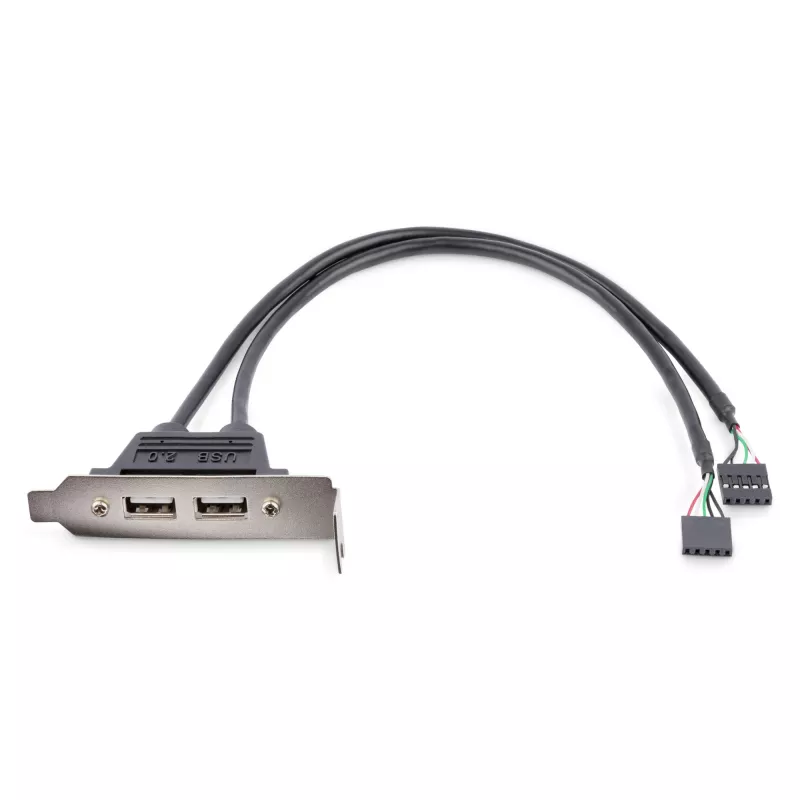 StarTech.com Adaptador de placa de slot de perfil baixo com 2 portas USB-A fêmea