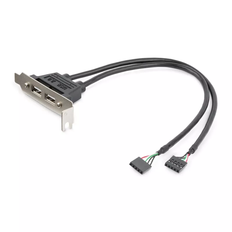 StarTech.com Adaptador de placa de slot de perfil baixo com 2 portas USB-A fêmea