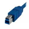 Cabo SuperSpeed USB 3.0 A para B StarTech.com de 1m - M/M, 1 m, USB A, USB B, USB 3.2 Gen 1 (3.1 Gen 1), macho/macho, azul