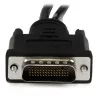 Cabo adaptador DMS-59 para DisplayPort duplo StarTech.com de 20 cm - Vídeo 4K x 2K