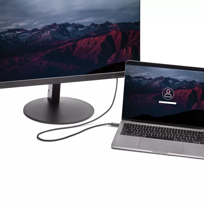 StarTech.com Cabo USB-C para DVI de 2 m – 1920 x 1200 – preto