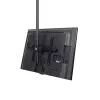 Suporte de teto para TV StarTech.com – suporte de suspensão universal totalmente articulado para um ecrã com mastro telescópico longo ajustável – inclinação/rotação – suporte VESA para ecrãs de 32–75 polegadas
