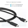 StarTech.com 6 ft. (1,8 m) Cabo USB-C para Mini DisplayPort - 4K 60Hz - Preto
