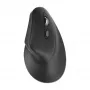Rato Kensington Pro Fit Ergo MY630 EQ RF sem fios Bluetooth USB Type-A