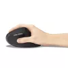 Rato Kensington Pro Fit Ergo MY630 EQ RF sem fios Bluetooth USB Type-A