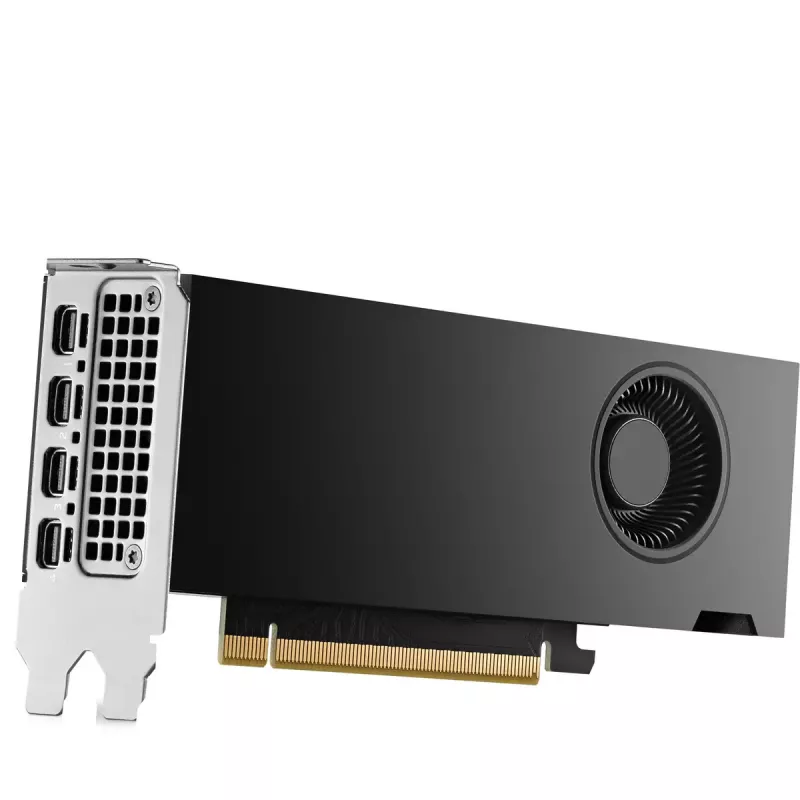 Placa gráfica HP NVIDIA RTX 2000 Ada 16GB GDDR6, 4x Mini DisplayPort (8D6B8AA)