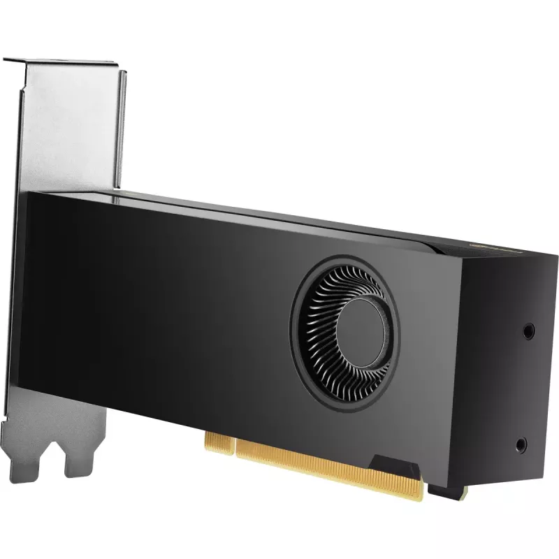 Placa gráfica HP NVIDIA RTX 2000 Ada 16GB GDDR6, 4x Mini DisplayPort (8D6B8AA)