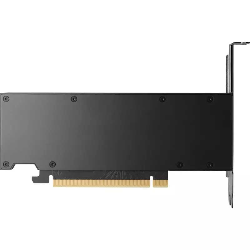 Placa gráfica HP NVIDIA RTX 2000 Ada 16GB GDDR6, 4x Mini DisplayPort (8D6B8AA)