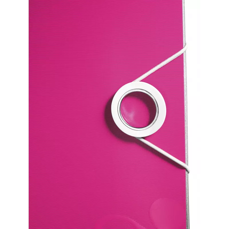 Leitz Lever Arch File Active PP WOW A4/80mm, A4, Polyfoam, rosa, 500 folhas, 80 g/m², 8,2 cm