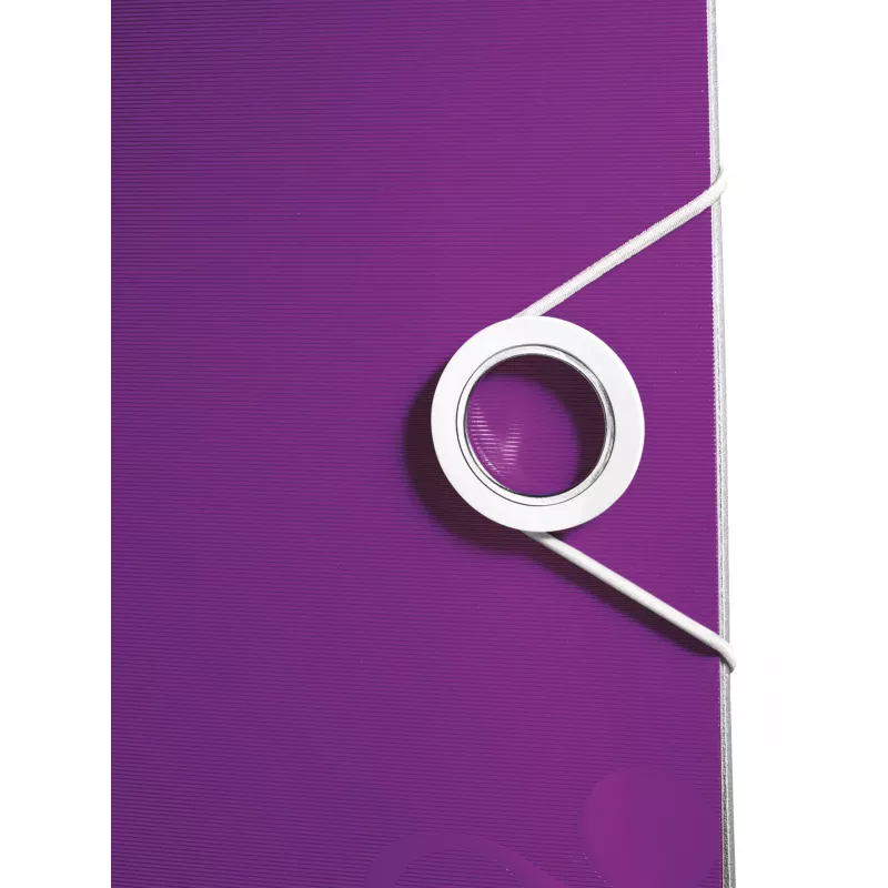 Leitz Hebelordner Active PP WOW A4/80 mm, A4, Polyfoam, violeta, 500 folhas, 80 g/m², 8,2 cm