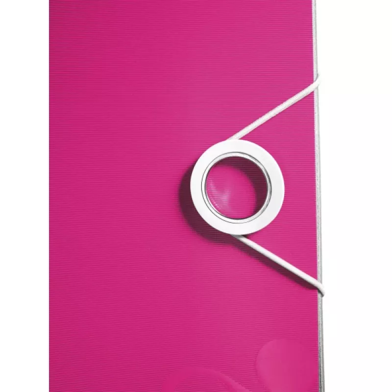 Leitz Ordner Active PP WOW A4/65mm, A4, Polyfoam, rosa, 350 folhas, 80 g/m², 6,5 cm