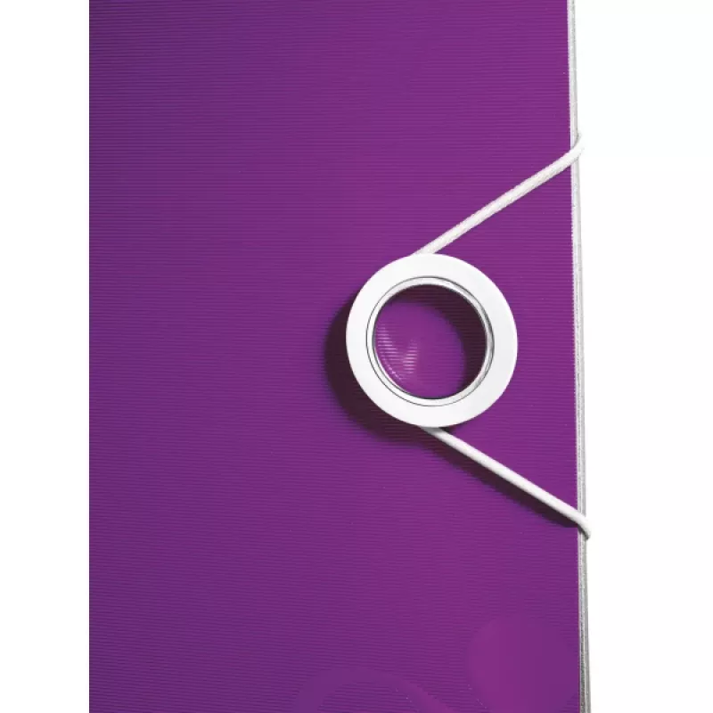 Leitz Hebelordner Active PP WOW A4/65mm, A4, Polyfoam, roxo, 350 folhas, 80 g/m², 6,5 cm
