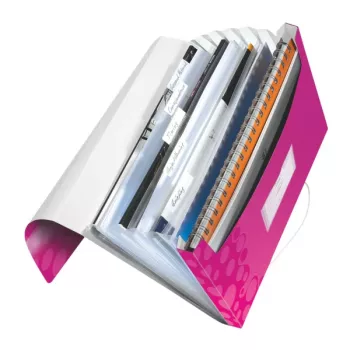 Leitz Pasta de projeto WOW PP, dossier de arquivo convencional, A4, polipropileno (PP), metálico, rosa, 200 folhas, 254 mm